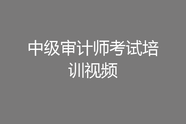 中级审计师考试培训视频