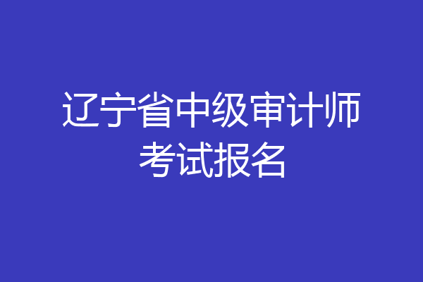 辽宁省中级审计师考试报名