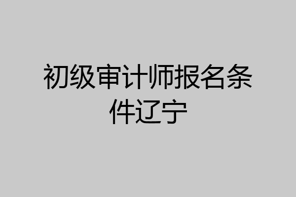 初级审计师报名条件辽宁