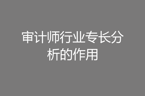 审计师行业专长分析的作用