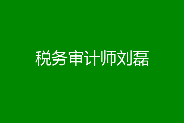 税务审计师刘磊