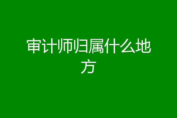 审计师归属什么地方
