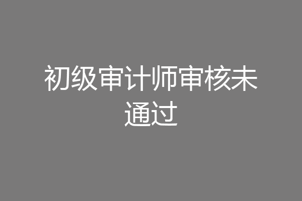 初级审计师审核未通过