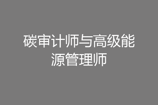 碳审计师与高级能源管理师