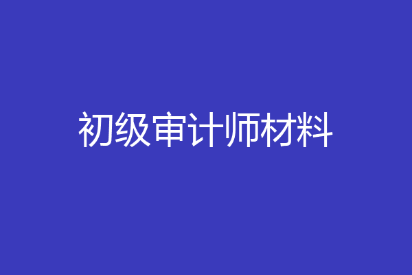 初级审计师材料
