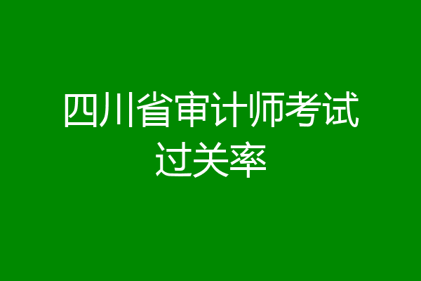 四川省审计师考试过关率