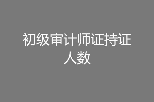 初级审计师证持证人数