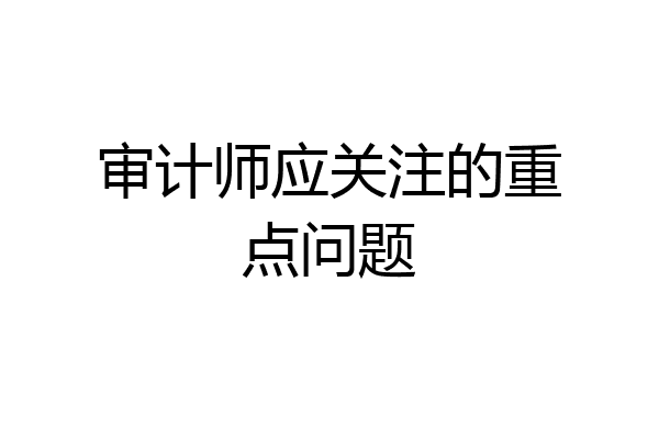 审计师应关注的重点问题