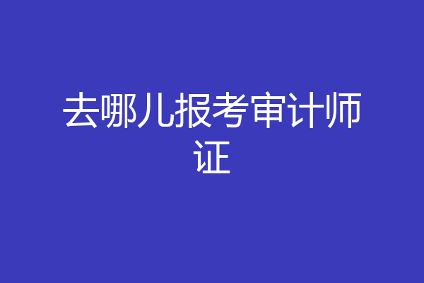 去哪儿报考审计师证