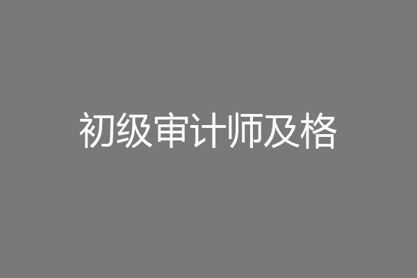 初级审计师及格