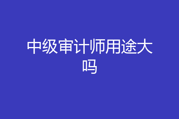 中级审计师用途大吗