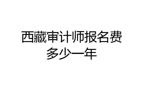 西藏审计师报名费多少一年