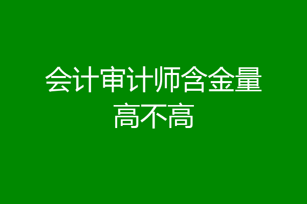 会计审计师含金量高不高