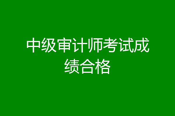 中级审计师考试成绩合格