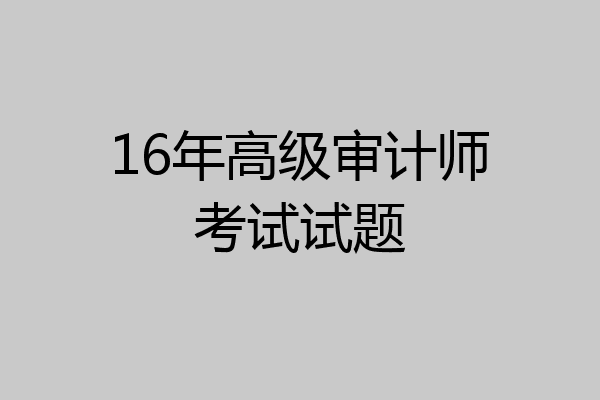 16年高级审计师考试试题
