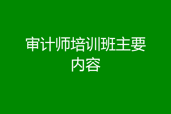 审计师培训班主要内容