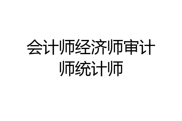 会计师经济师审计师统计师