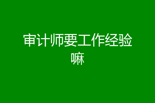 审计师要工作经验嘛