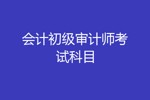 会计初级审计师考试科目