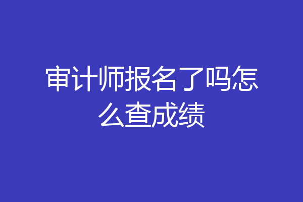 审计师报名了吗怎么查成绩