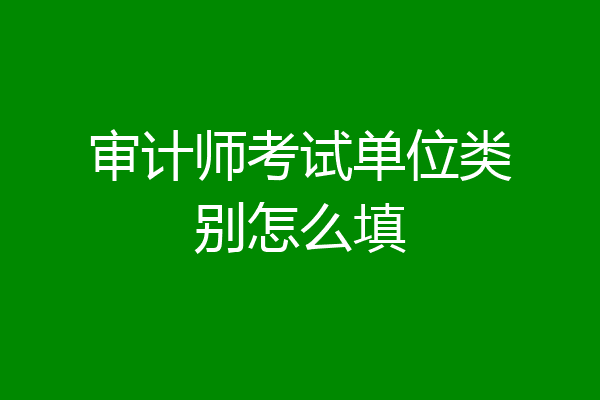 审计师考试单位类别怎么填