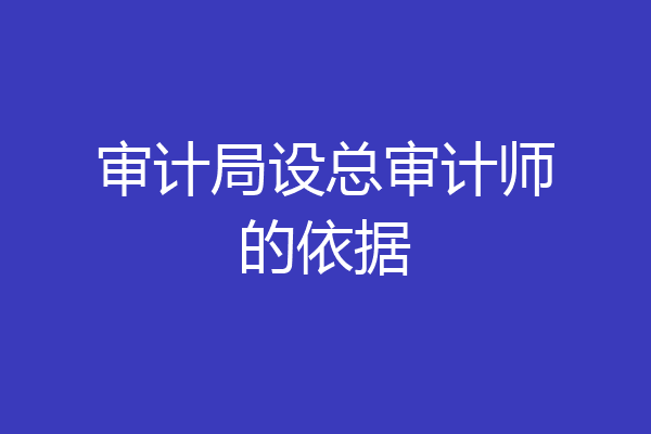 审计局设总审计师的依据