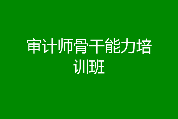 审计师骨干能力培训班