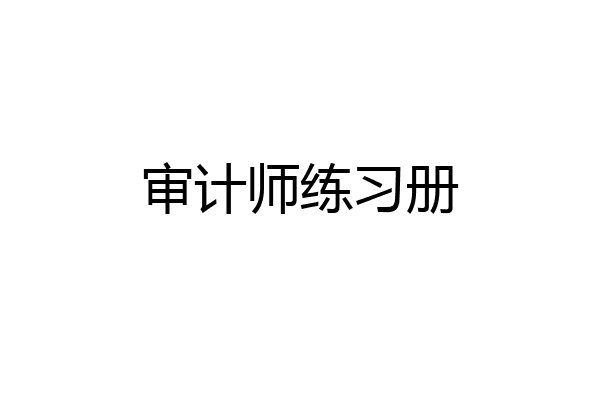 审计师练习册