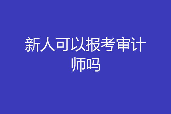 新人可以报考审计师吗