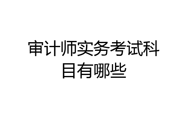 审计师实务考试科目有哪些