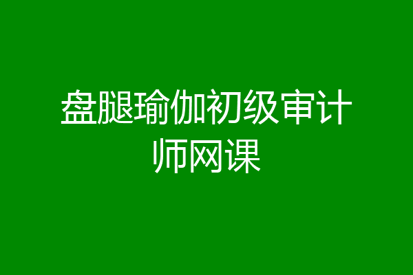 盘腿瑜伽初级审计师网课