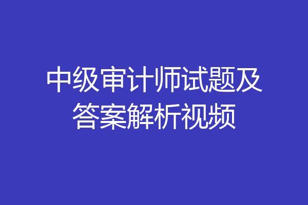 中级审计师试题及答案解析视频