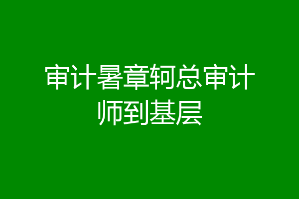 审计暑章轲总审计师到基层