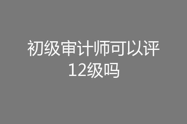 初级审计师可以评12级吗