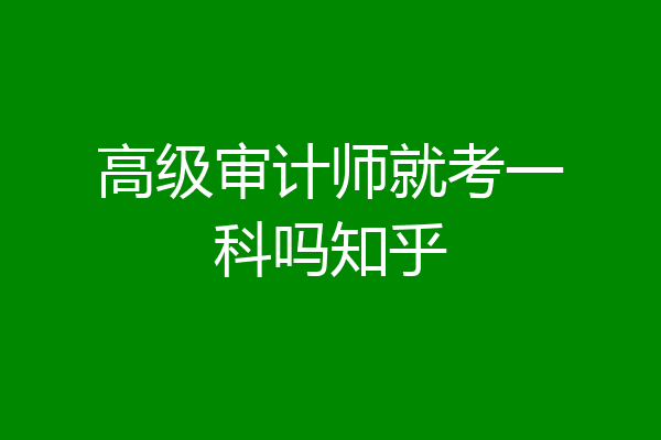 高级审计师就考一科吗知乎
