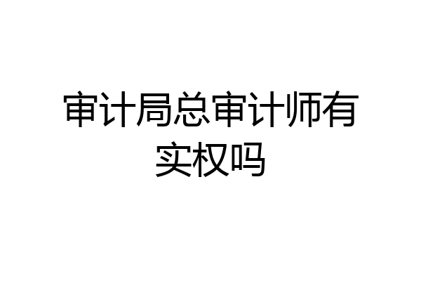 审计局总审计师有实权吗