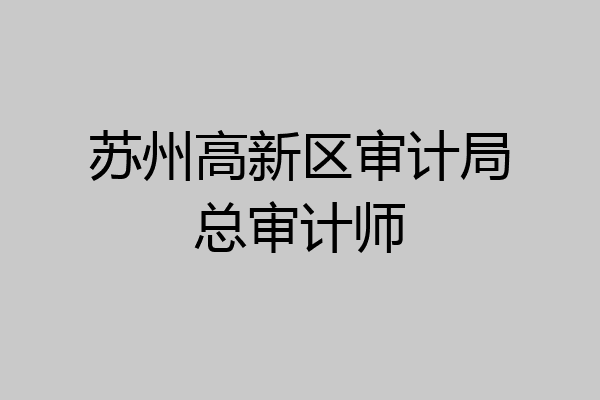 苏州高新区审计局总审计师