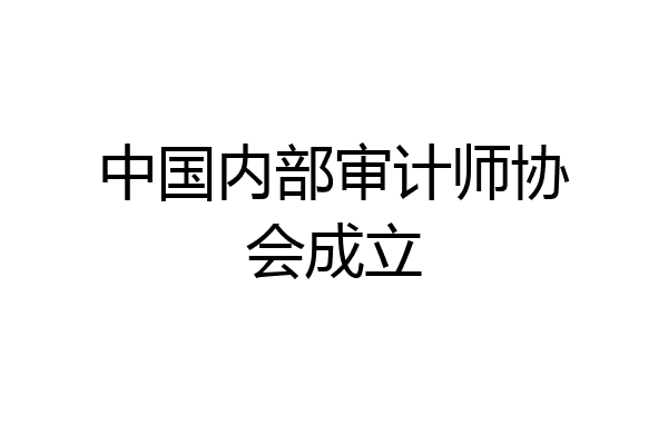 中国内部审计师协会成立