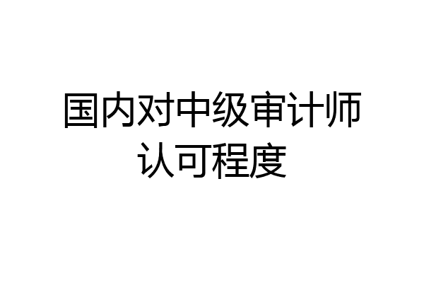 国内对中级审计师认可程度