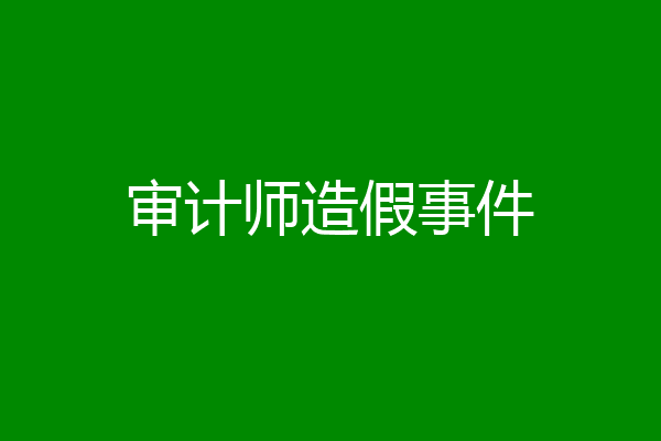 审计师造假事件