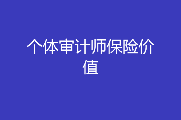 个体审计师保险价值