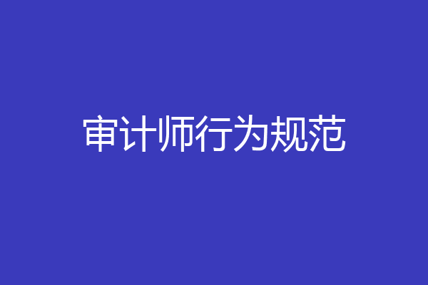 审计师行为规范