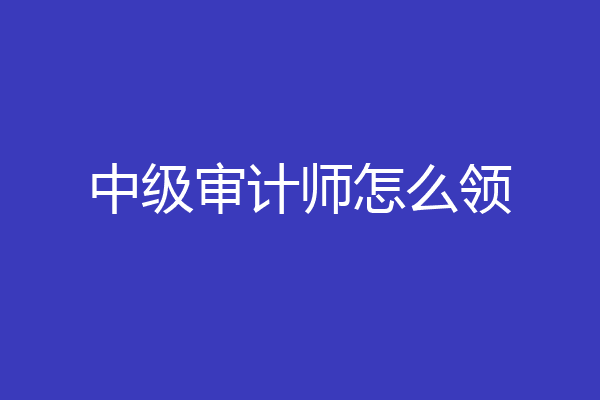 中级审计师怎么领
