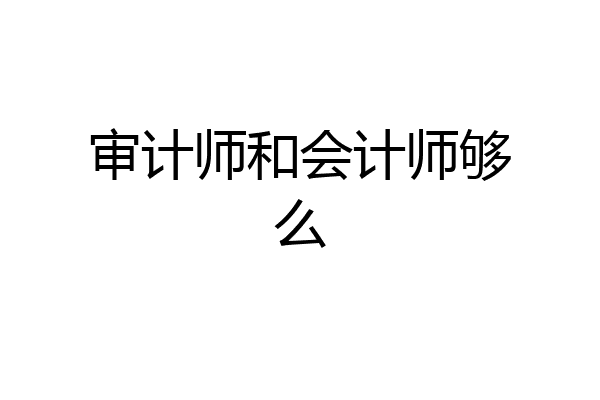 审计师和会计师够么
