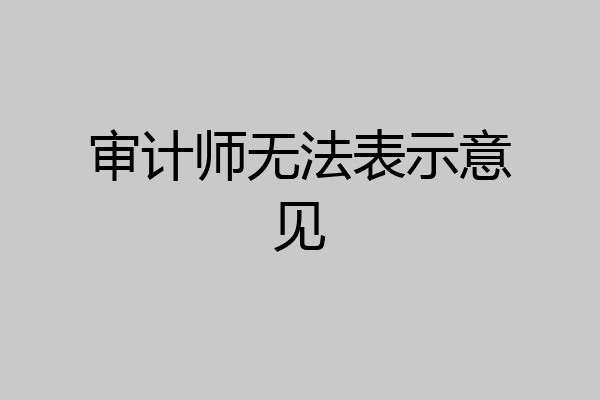 审计师无法表示意见