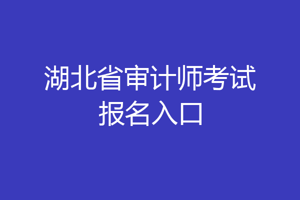 湖北省审计师考试报名入口