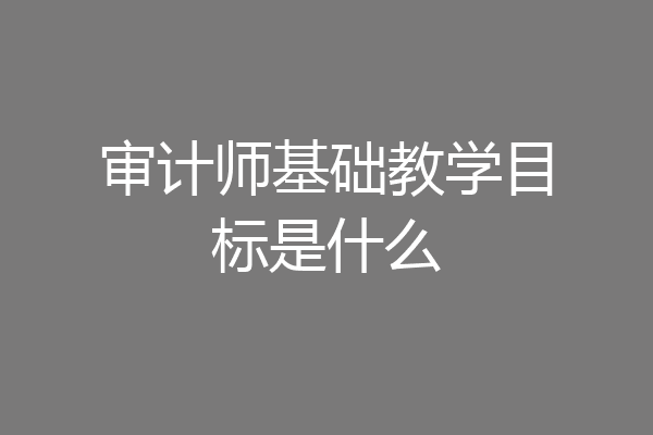 审计师基础教学目标是什么