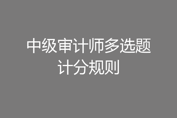中级审计师多选题计分规则