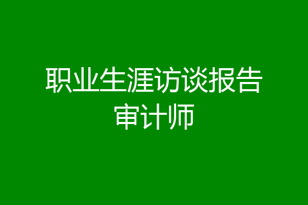 职业生涯访谈报告审计师