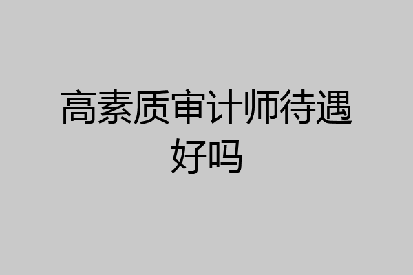 高素质审计师待遇好吗